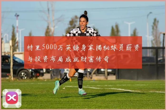 特里5000万英镑身家揭秘球员薪资与投资布局成就财富传奇