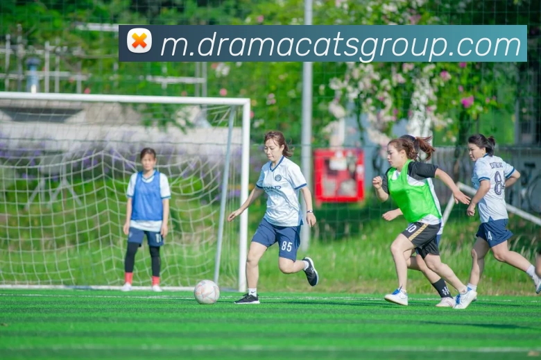 mksports官方网站APP 高清赛事图